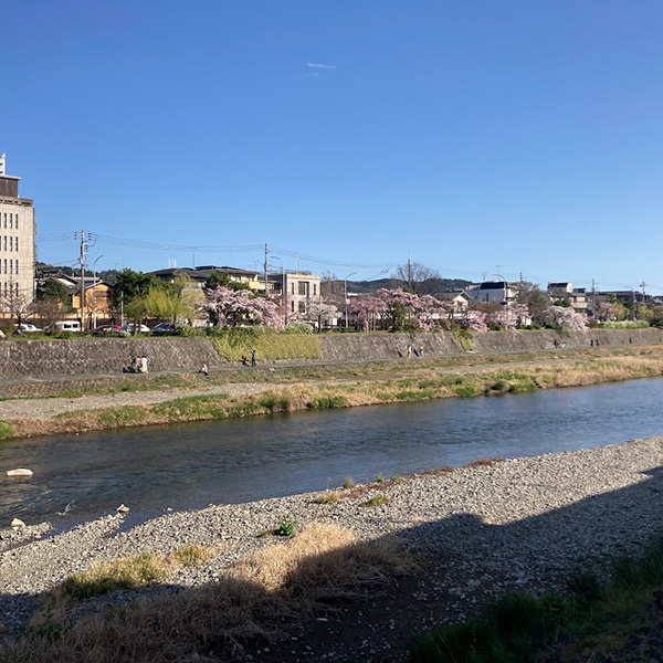 五条大橋付近の鴨川