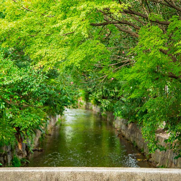 高瀬川