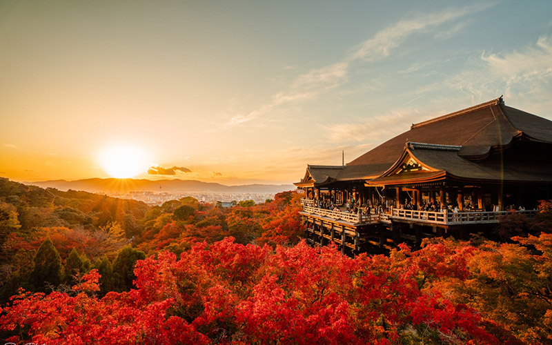 清水寺へのアクセスがスムーズ