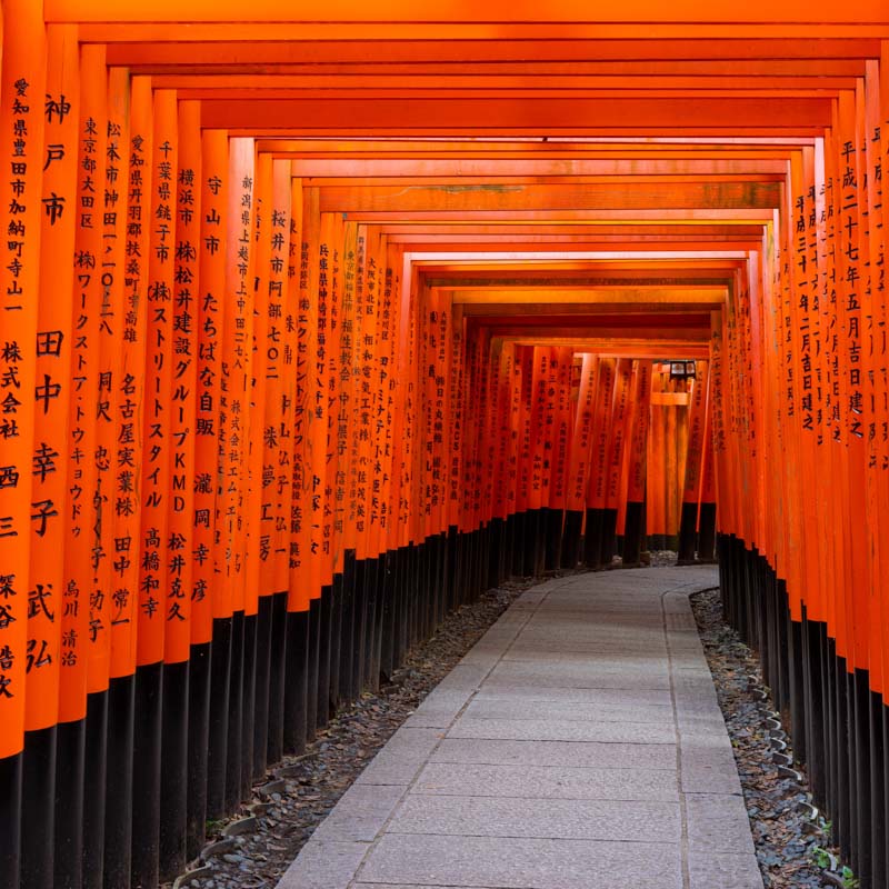 Memoirs of a Geisha(SAYURI)