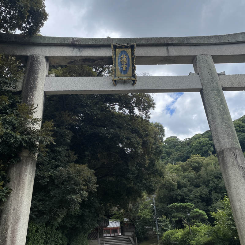 光る君へ