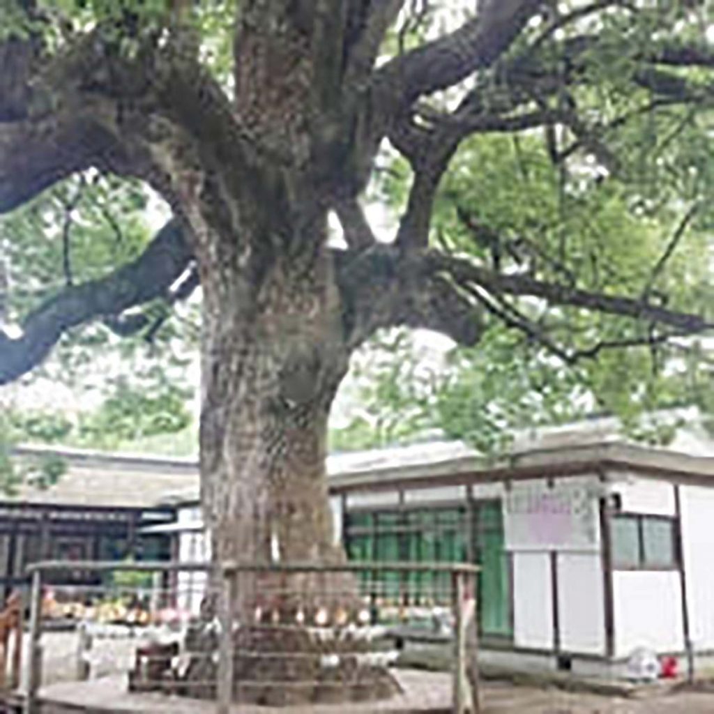 平野神社のすえひろがね