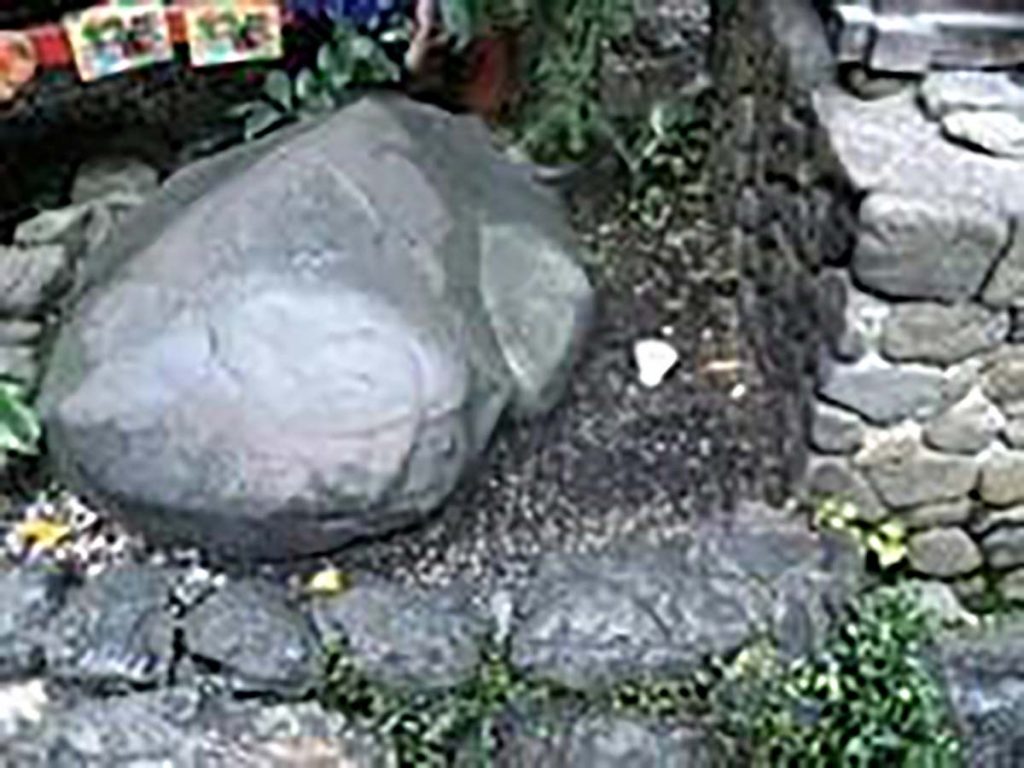 野宮神社の亀石(かめいし)と鳥居