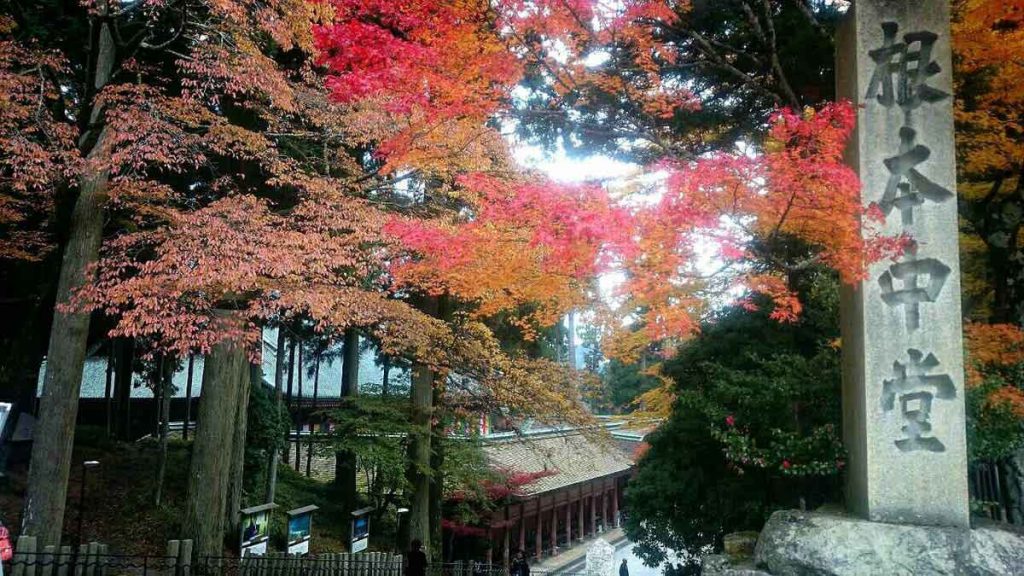 紅葉が見頃になってきました