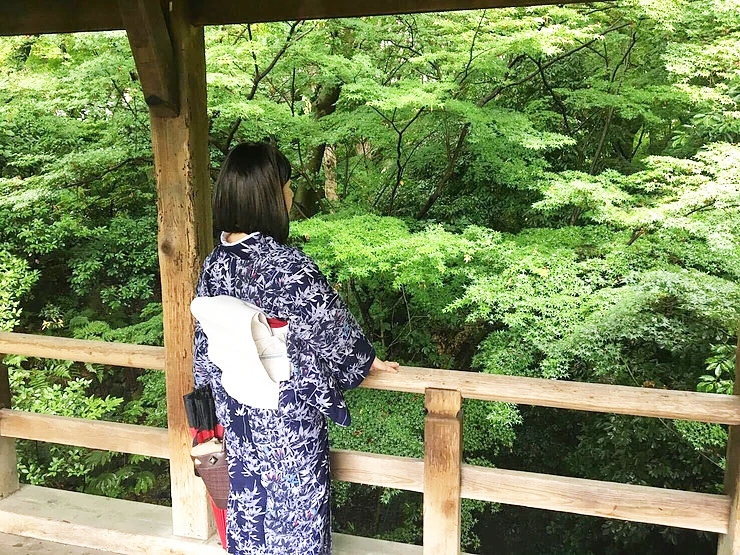 【紅子の京都散策】もみじの東福寺