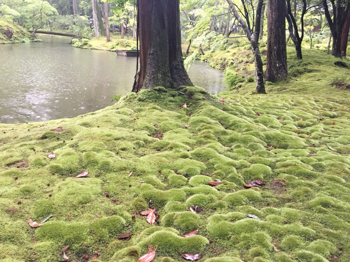 西芳寺