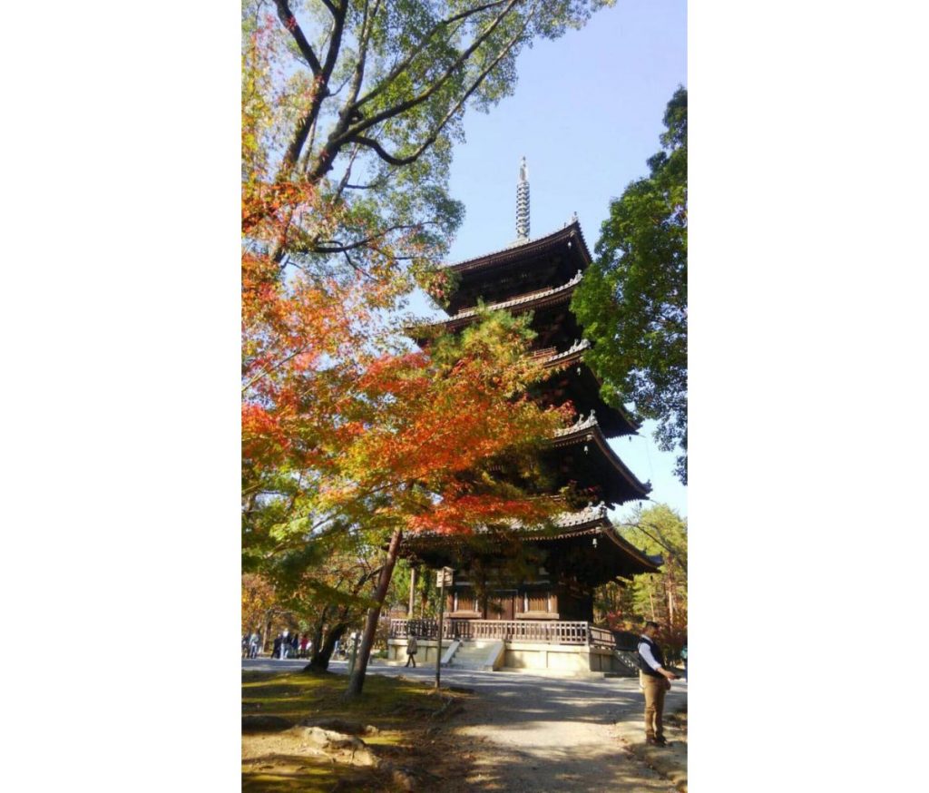 仁和寺の五重塔と紅葉