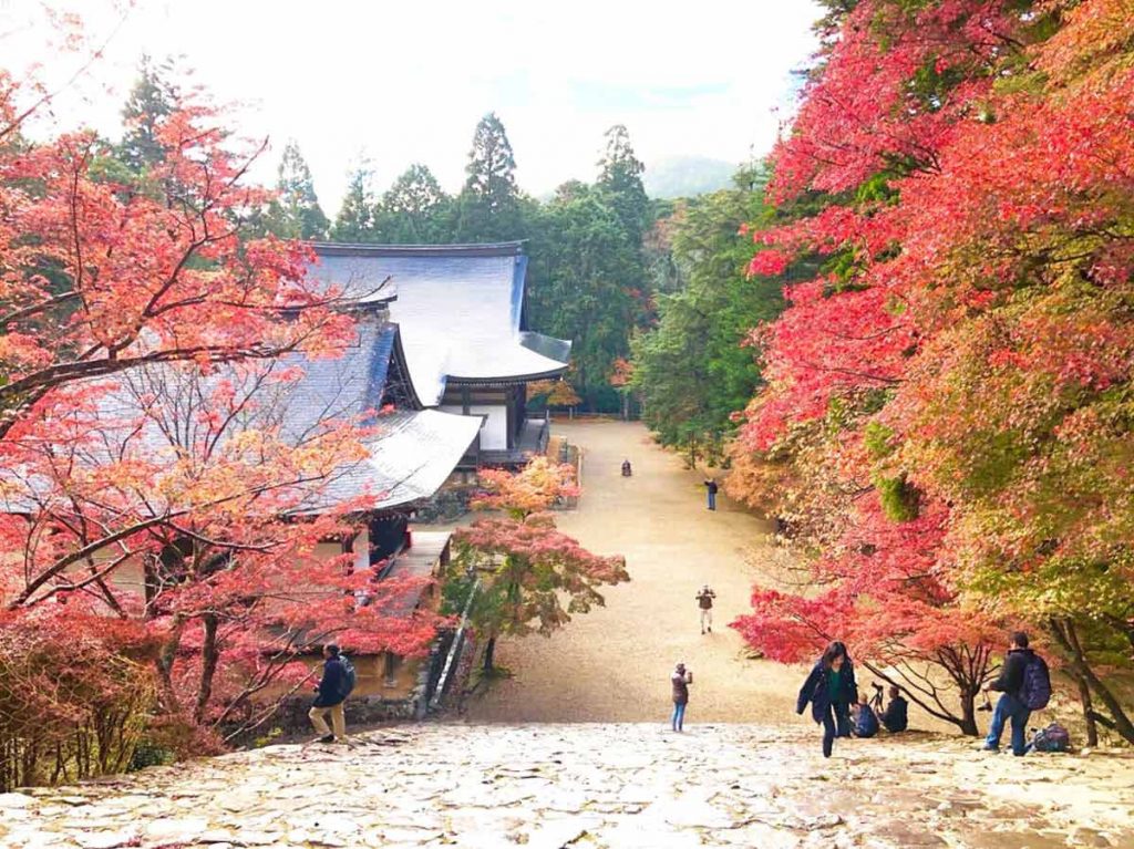 古刹　神護寺の紅葉