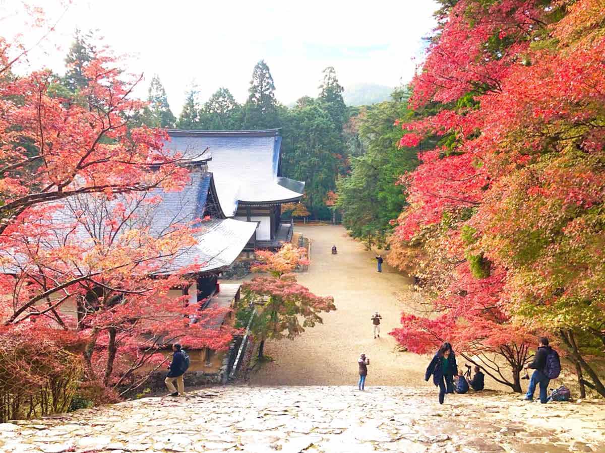 古刹　神護寺の紅葉