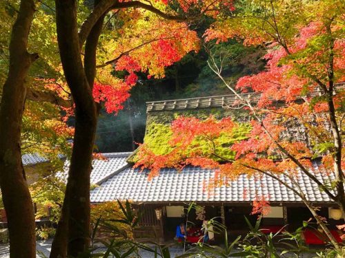 鮎茶屋　平野屋と紅葉