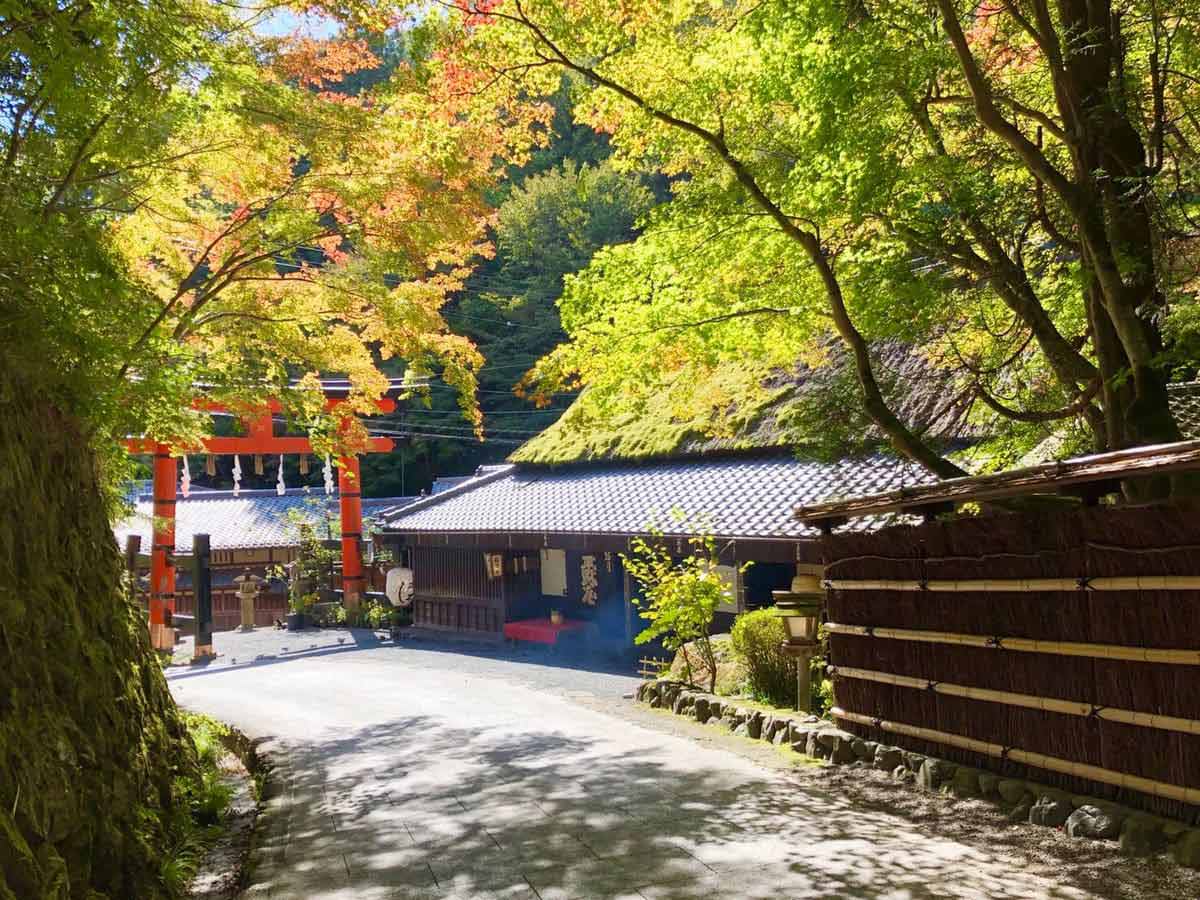 紅葉が始まりました。嵯峨鳥居本