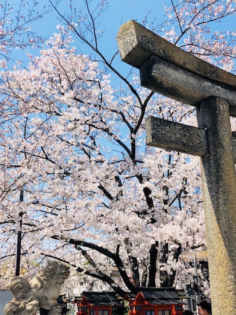 六孫王神社3