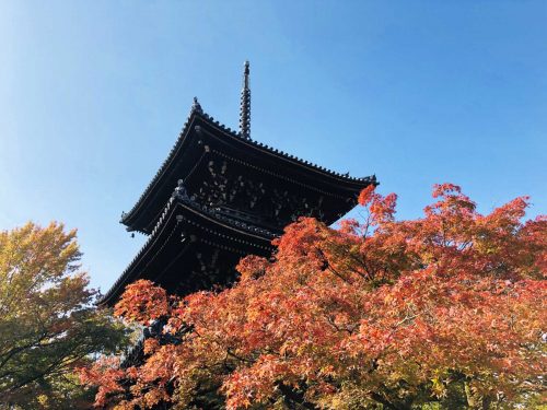 極楽寺の紅葉