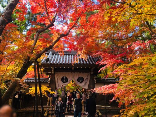 粟生光明寺