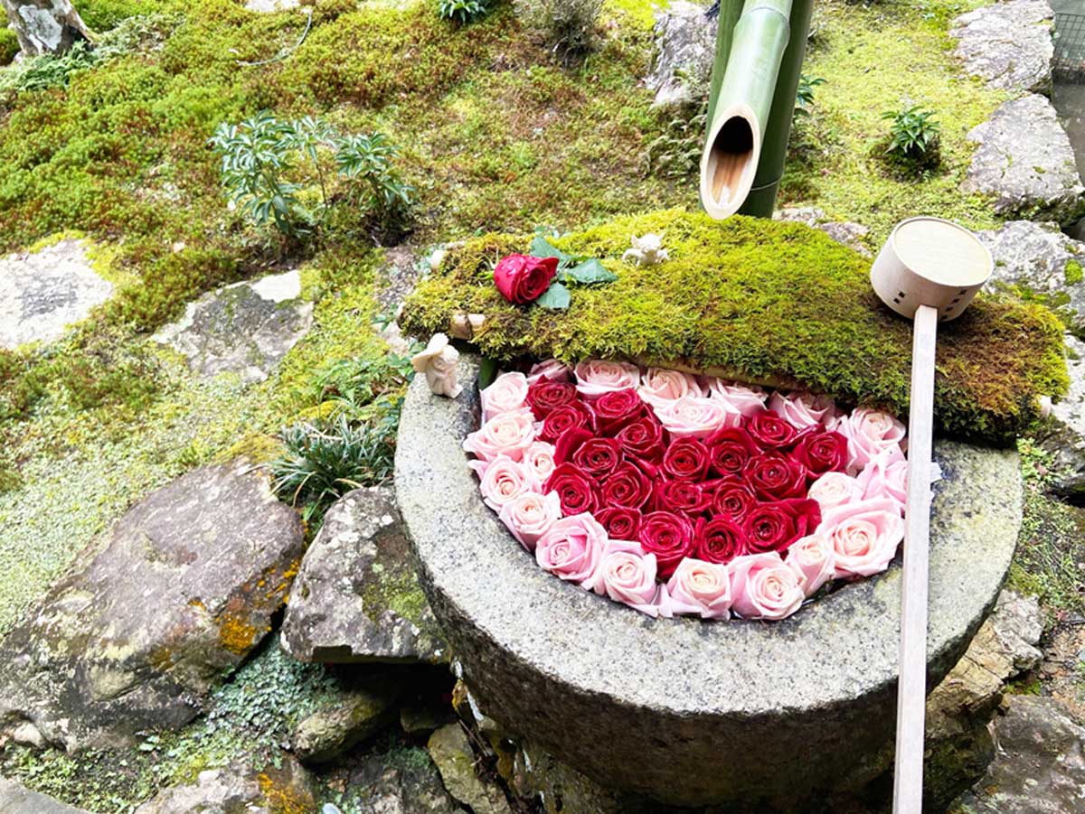 柳谷観音楊谷寺の花手水 | 京都着物レンタル夢館五条店