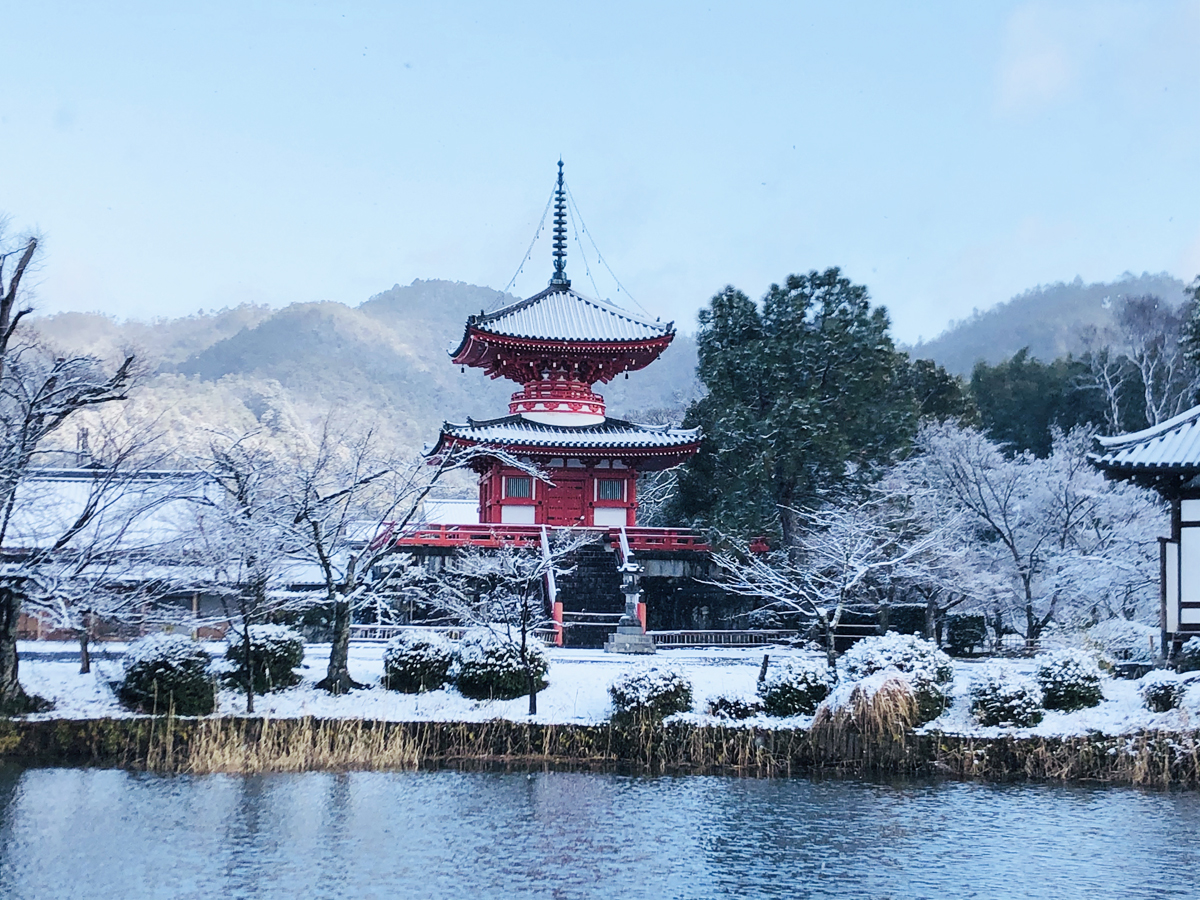 大覚寺雪景色
