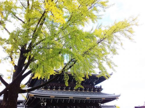 東本願寺2