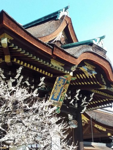 京都着物レンタル夢館五条店 | 色柄豊富な着物・浴衣で京都観光