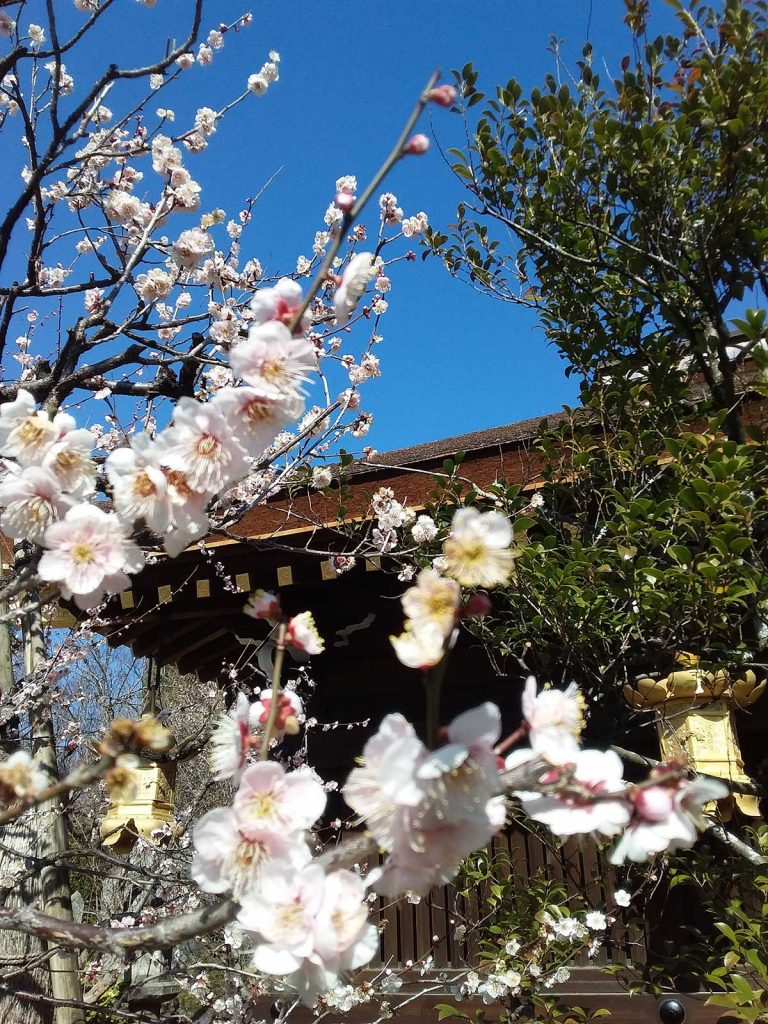 北野天満宮