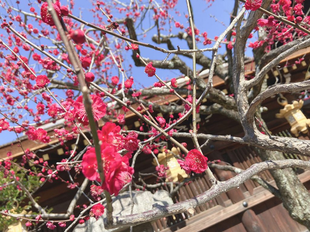 北野天満宮