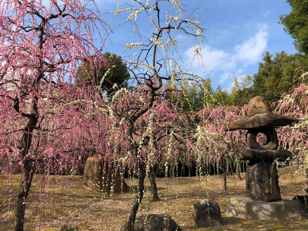 城南宮　神苑