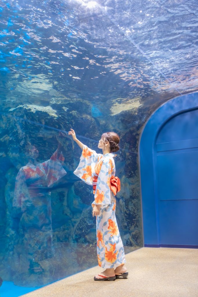 京都水族館で浴衣でデート　ペンギンの水槽　夢館浴衣レンタル