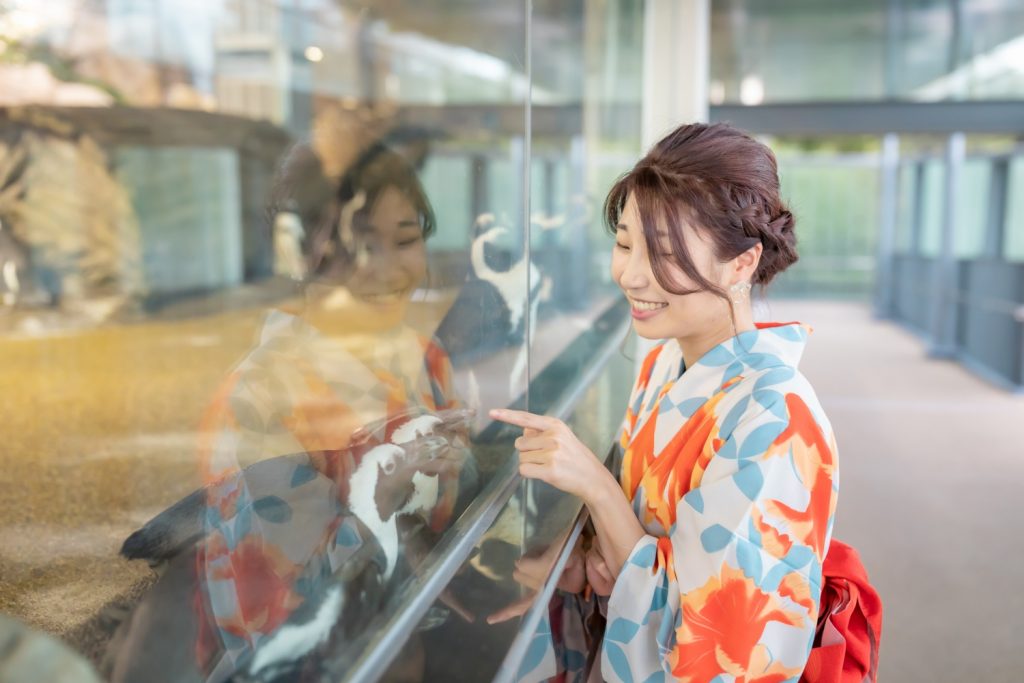 京都水族館で浴衣でデート　ペンギンの水槽　夢館浴衣レンタル