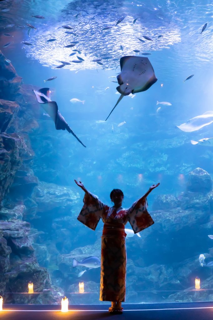 京都水族館　京の海　夜のデート　夢館浴衣レンタル