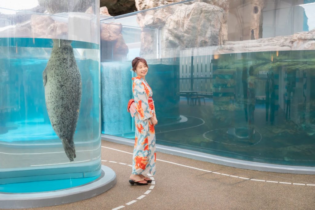 京都水族館で浴衣デート　アザラシの水槽　夢館浴衣レンタル　