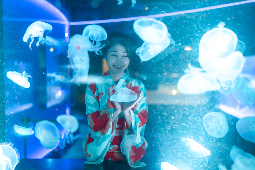 京都水族館　クラゲの水槽　夢館浴衣レンタル