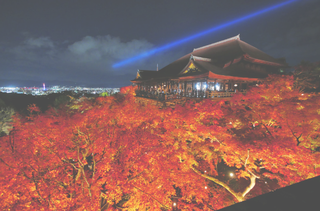 清水寺の夜景を着物姿で楽しむ！桜と秋の夜間特別拝観