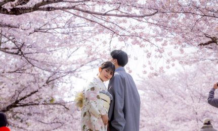 早期予約ロケキャンペーン