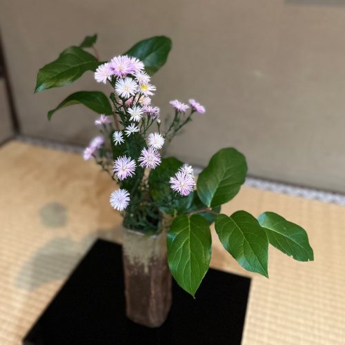お茶席、茶道、床の間